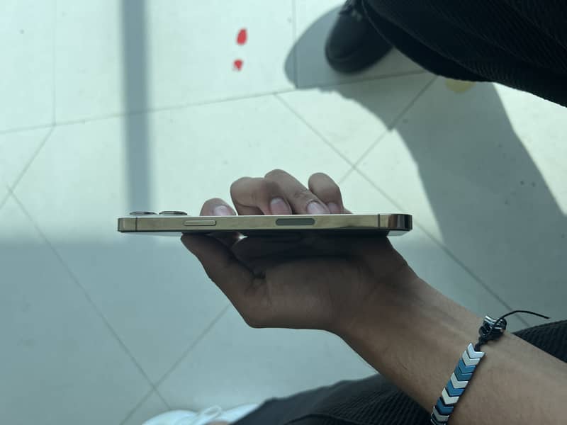 Apple iPhone 13 Pro Max 2