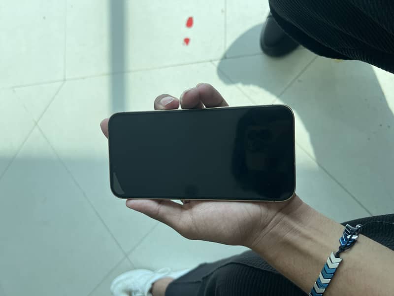 Apple iPhone 13 Pro Max 3