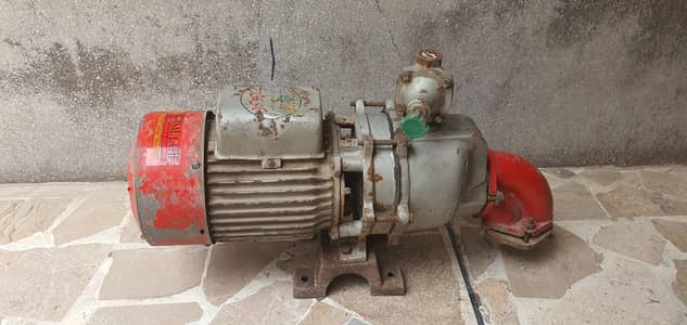 double ampelor motor