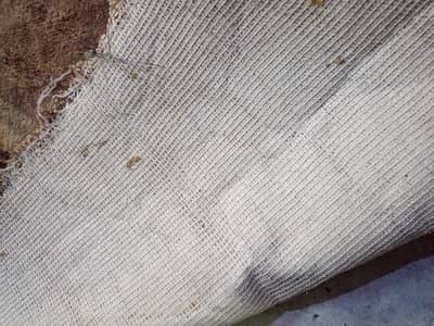 jisny lena msg krdy condition 100/90