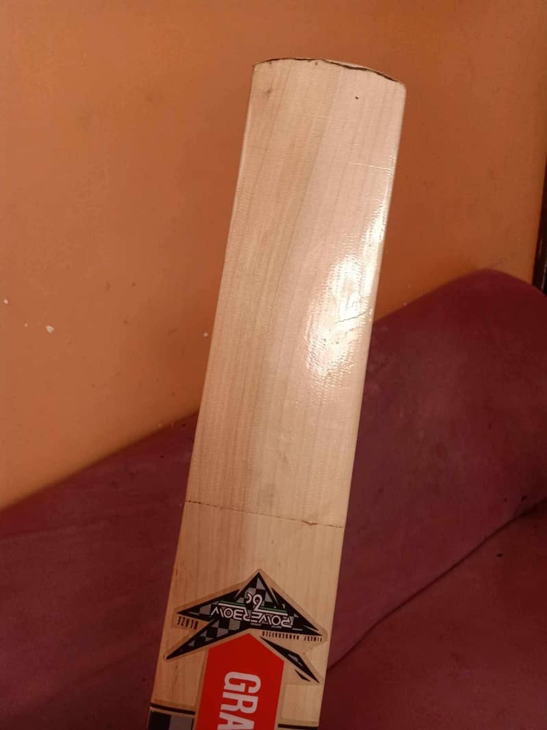 Gray niccols bat 2