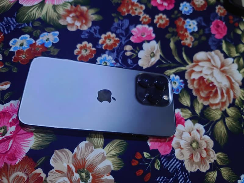 Apple iPhone 13 Pro 1
