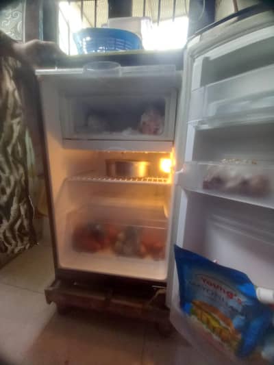 pell. freezer small size