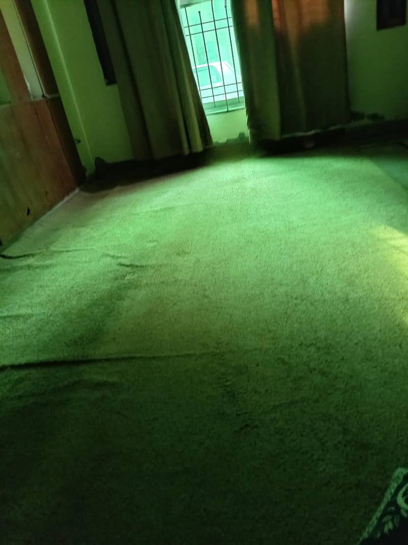 carpet 0