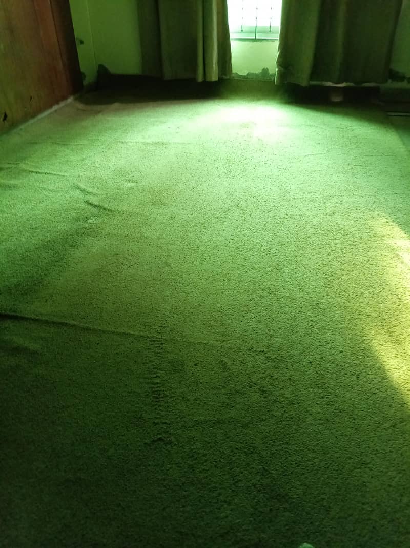 carpet 1