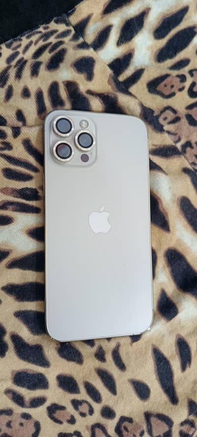 Apple iPhone 12 Pro Max