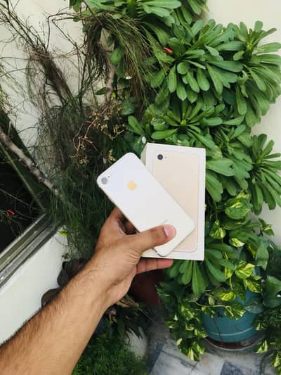Apple iPhone 7 pta 128gb
