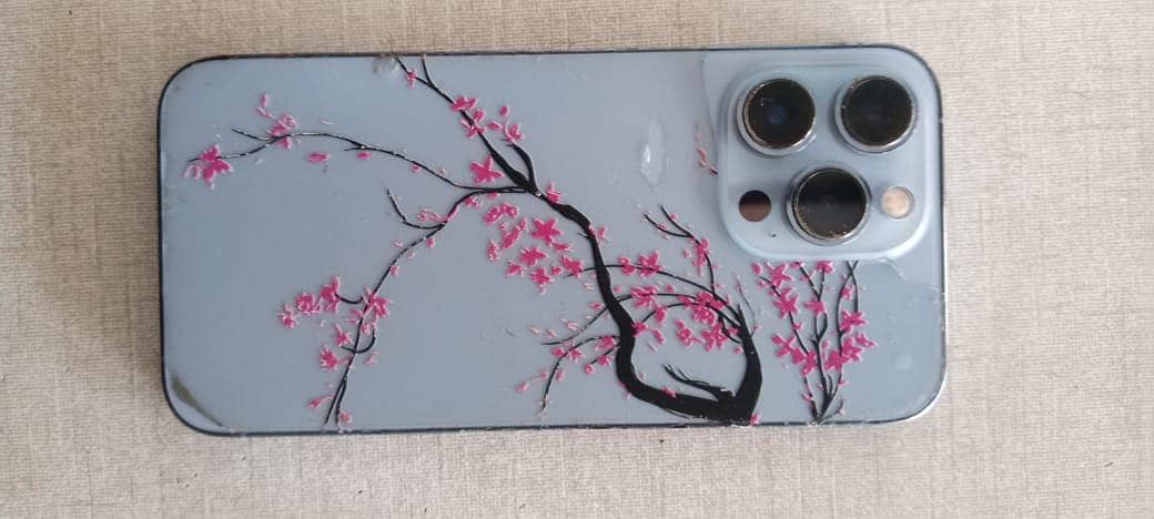 Apple iPhone 13 Pro 1