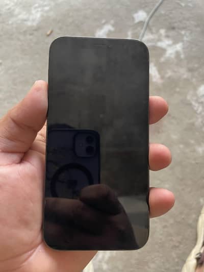 Apple iPhone 12 Pro