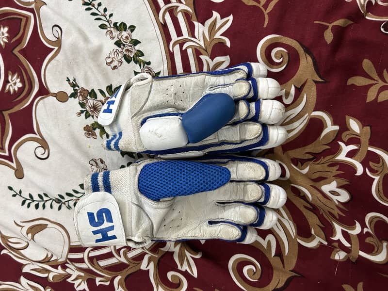 Cricket kit 9