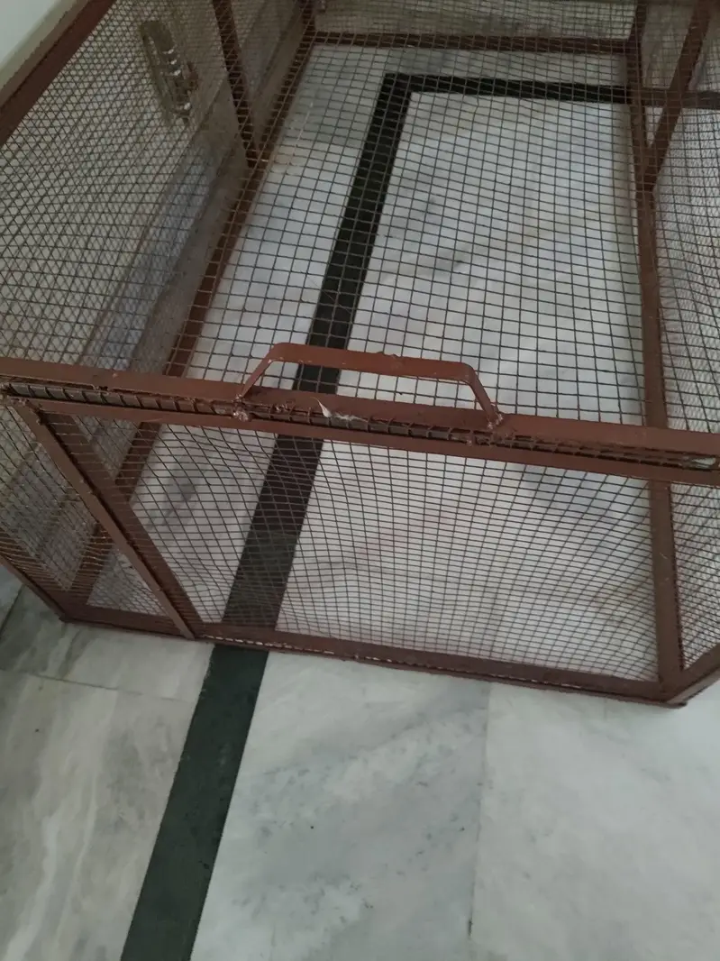 cat and hen cage or pets cage — photo 2