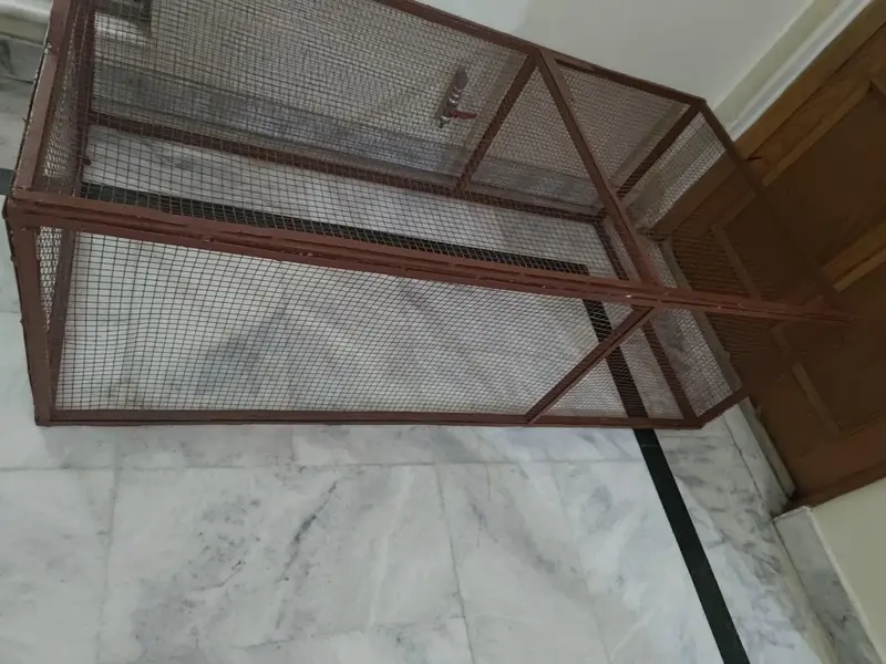 cat and hen cage or pets cage — photo 3