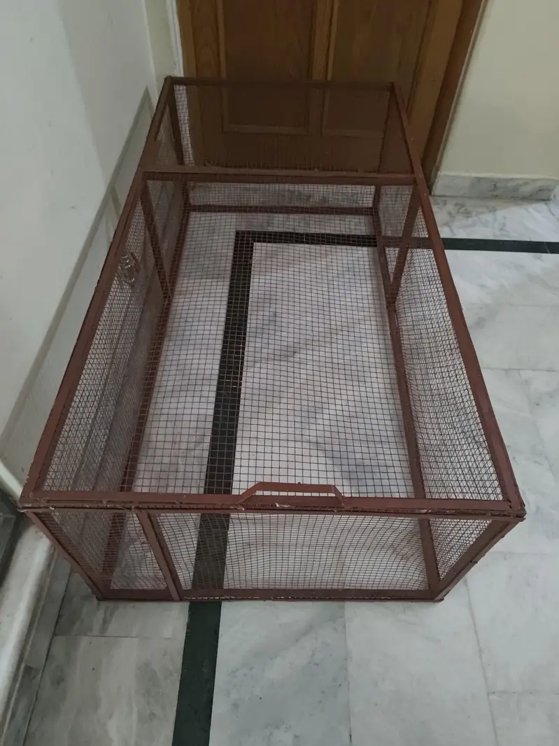 cat and hen cage or pets cage — photo 4