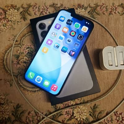 Apple iPhone 13 Pro Max