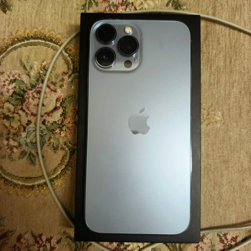 Apple iPhone 13 Pro Max 1