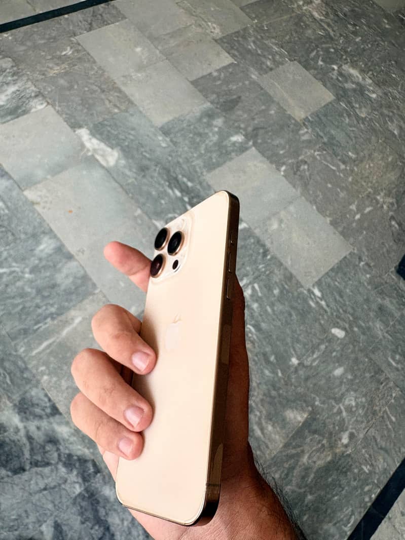 Apple iPhone 16 Pro Max 1