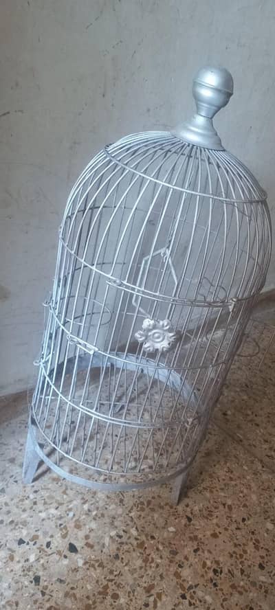parrot cage for  row grey etc