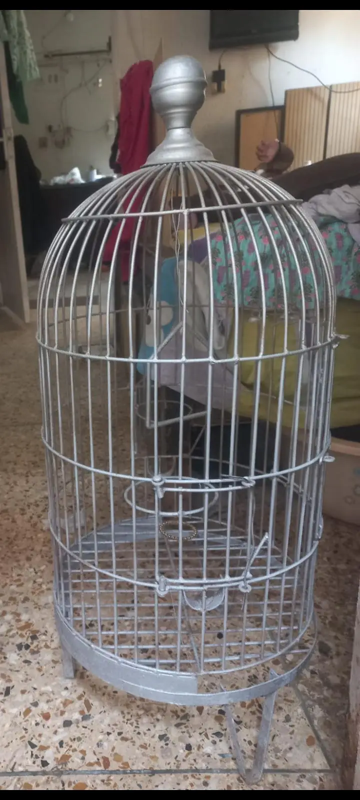 parrot cage for  row grey etc — photo 2
