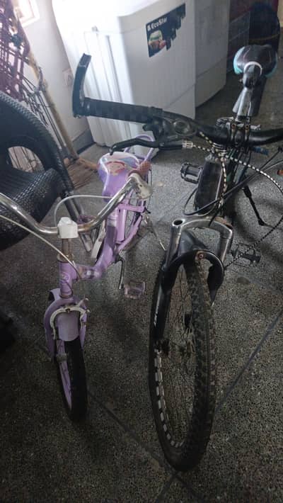 2 cycles one for boy and one for girl