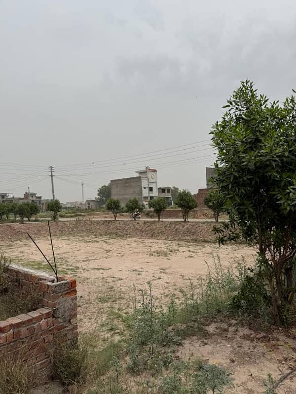 2 Marla Commercial Plot 9