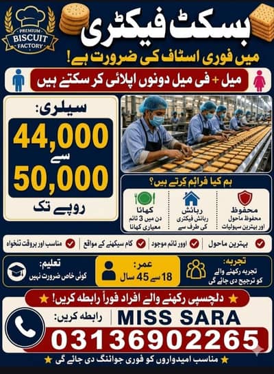 Need Urgent staff required in biscuits Factory