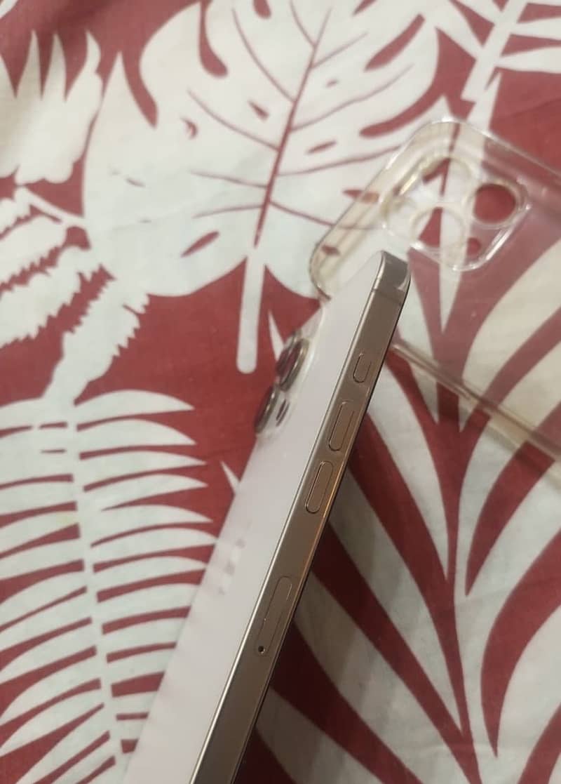 Apple iPhone 16 Pro Max 1