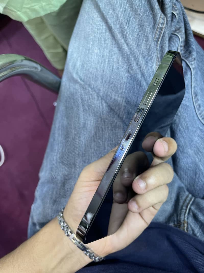 iPhone 13 Pro Max 2