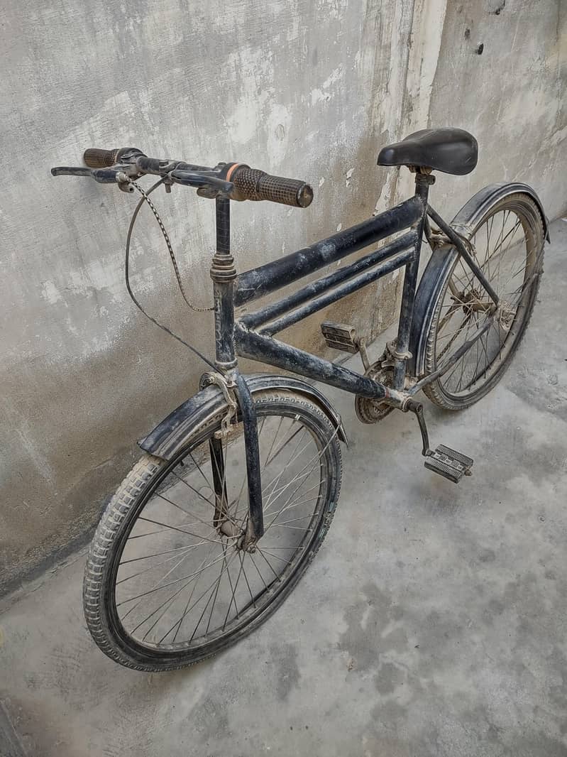 bicycle 2