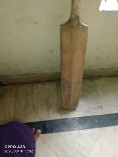 hard ball bat