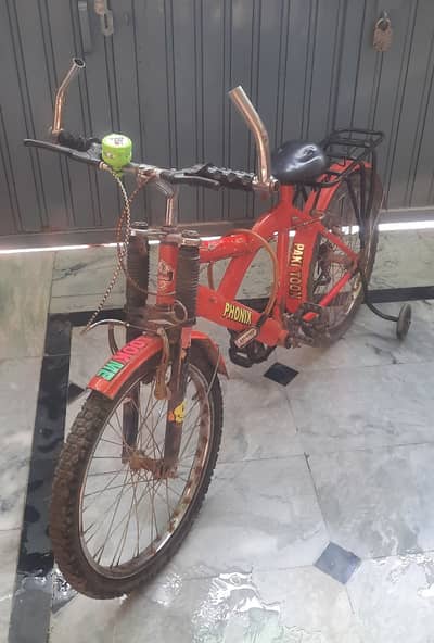 Super Shaino 20" Bike