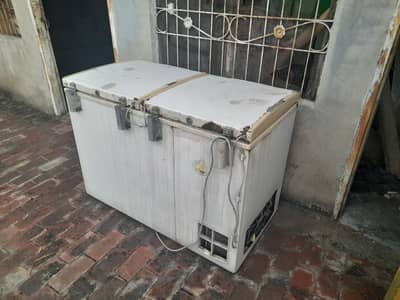 Double door Deep freezer