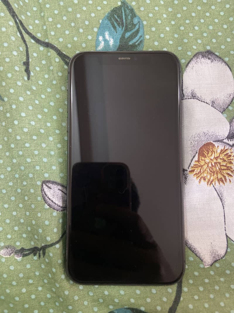 Apple iPhone 11 0