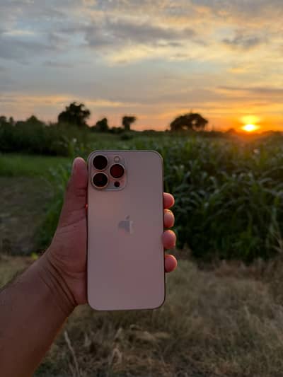 Golden Hour iPhone Photography  | Premium Outdoor Phone Shot