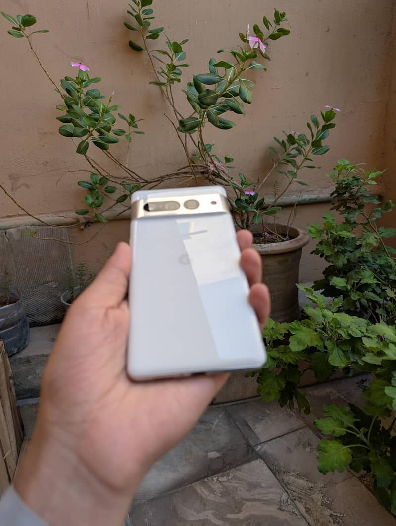 Google Pixel 7 Pro 1