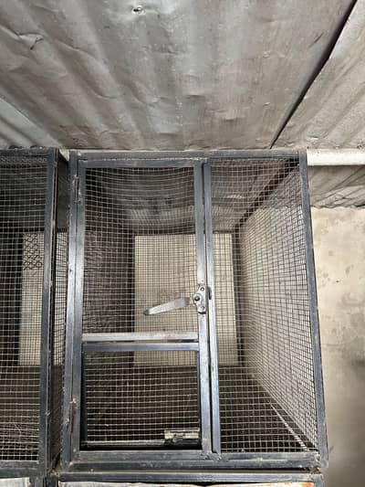 Parrot Cage