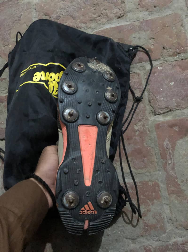 cricket spickes 0