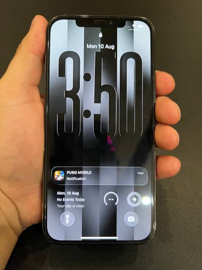 Apple iPhone 12 Pro Max