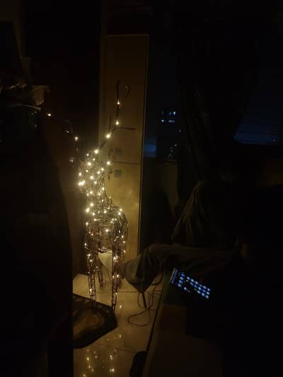 LED light Deer decoration