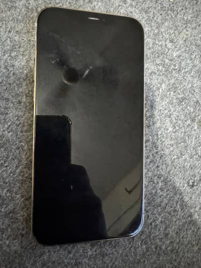 Apple iPhone 12 Pro Max
