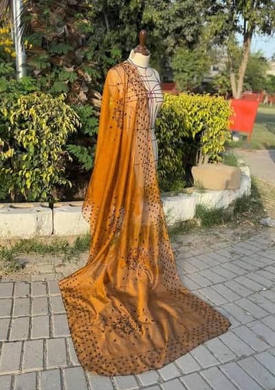 Hand Embellished khaddi Net Dupatta