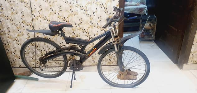 large cycle