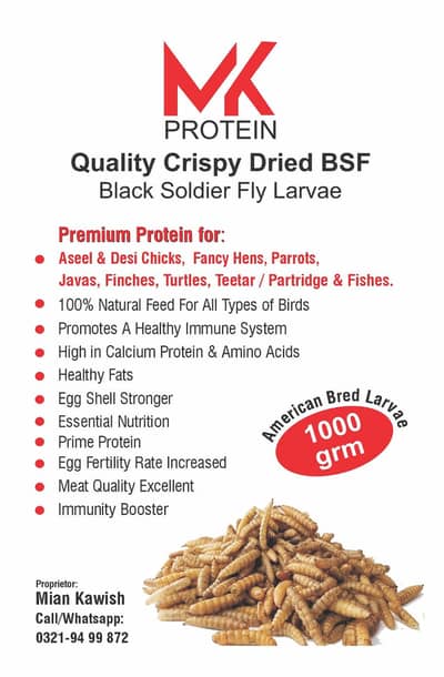 Super High Growth protien Feed / Premium BSF Larvae For Birds poultry