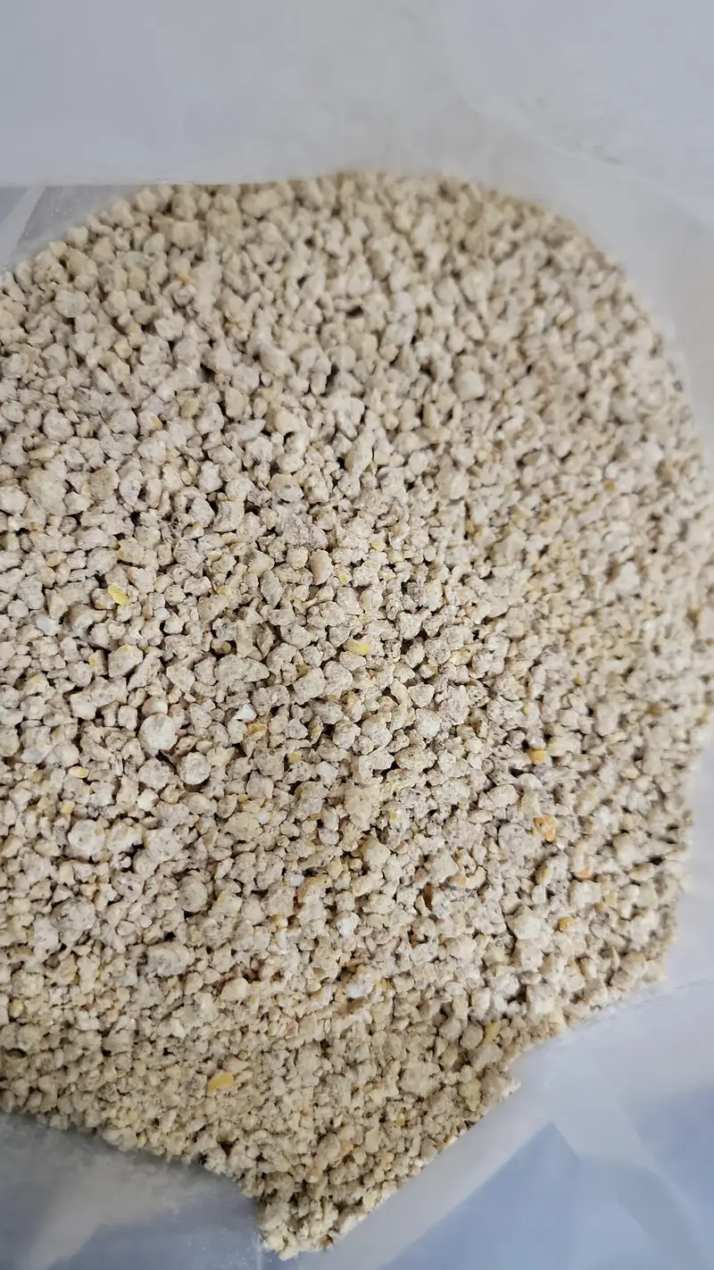 American BSFLarvae For Aseel  /Super High Growth Feed — photo 2