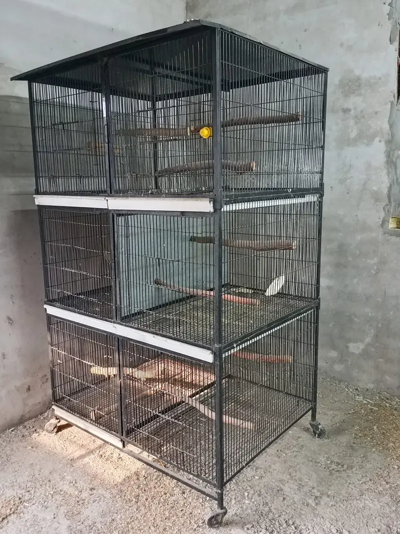 Bird Cage | Iron Cage | 6 Portion cage | Parrot Cage | cage for sale