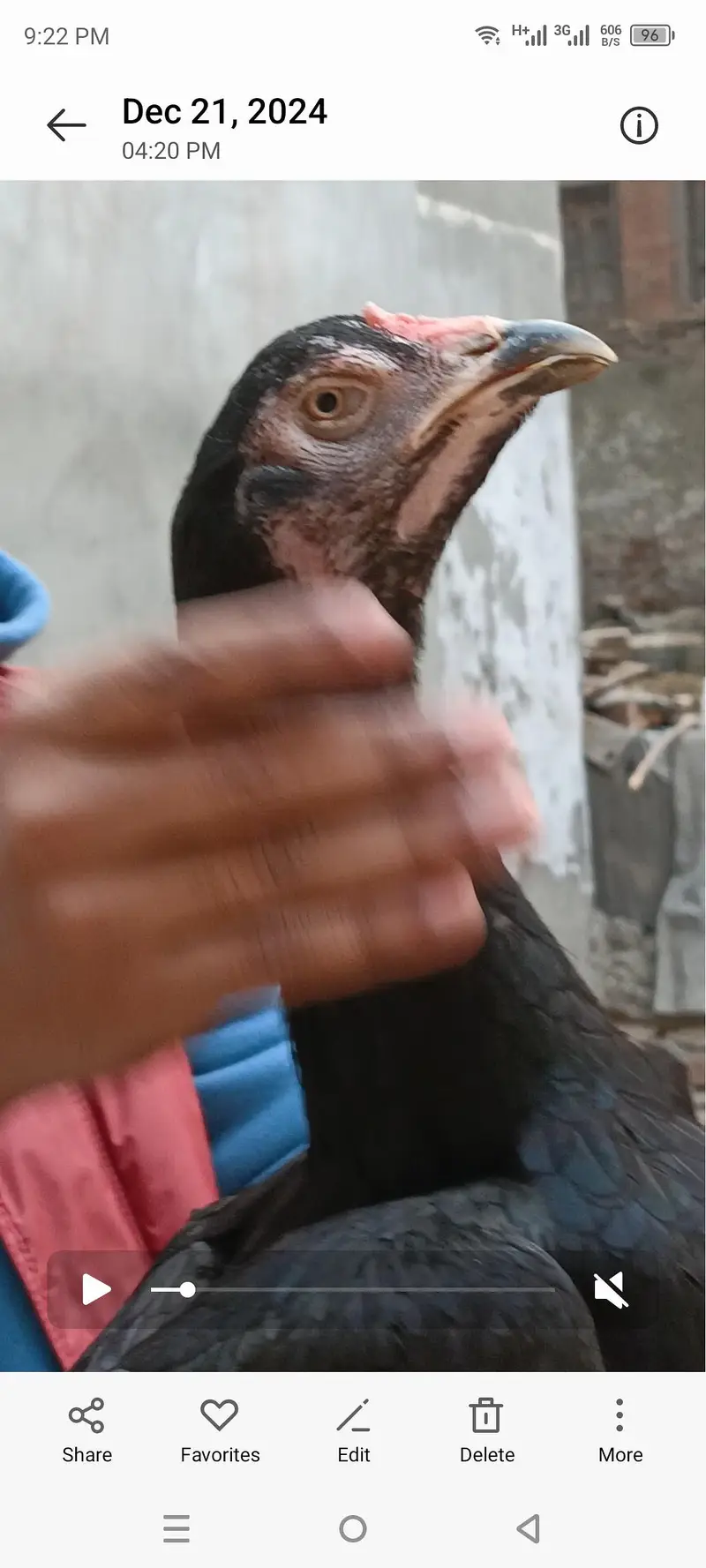 mushkil Madi pure Pakistani mazboot jor — photo 2