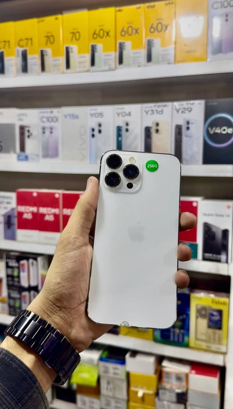 Apple iPhone 13 Pro Max 0