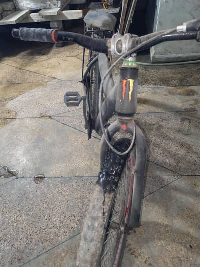 fast cycle
