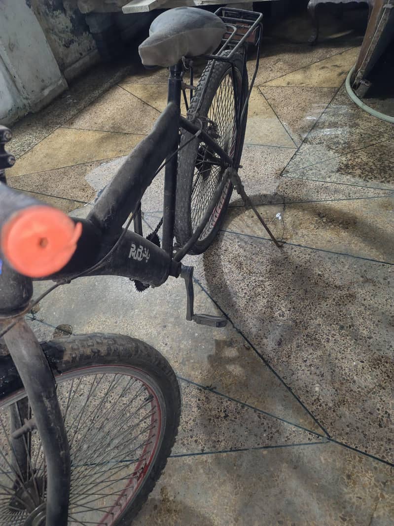 fast cycle 3