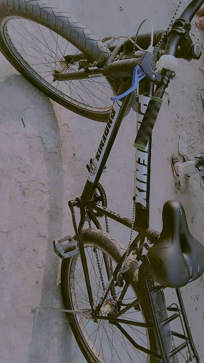 Bicycle All okay