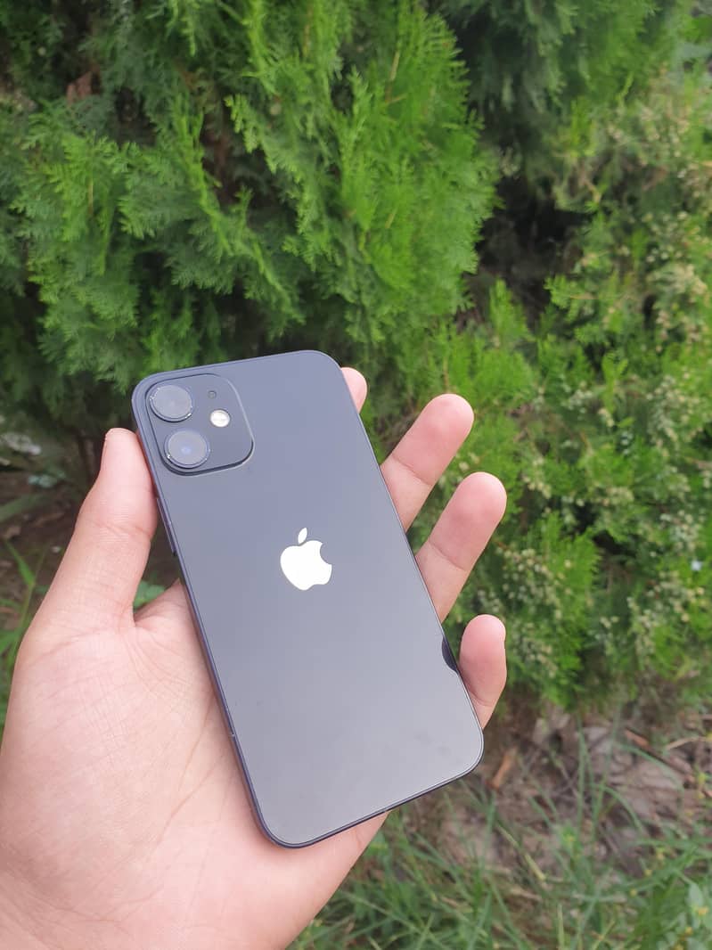 Apple iPhone 12 mini 0